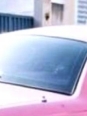 Photo #1