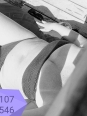 Photo #1