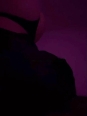 Photo #1