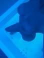 Photo #1
