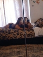 Photo #1
