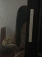 Photo #1