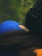 Photo #1