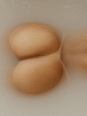 Photo #1