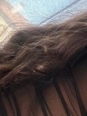 Photo #1