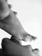 Photo #1