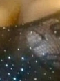 Photo #1